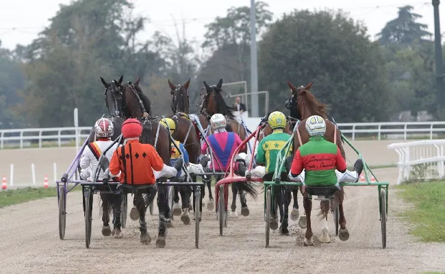 Ippica, venerdì nuova giornata di trotto all'Ippodromo Snai San Siro con sette prove a partire dalle ore 15. Brilla il Premio Sugar Ray