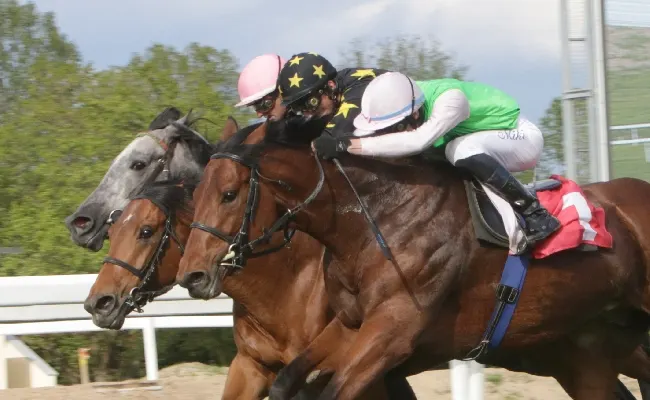 Ippica, all’Ippodromo Snai San Siro Gran Premio vince la prova centrale del venerdì di trotto. Go Big Effe si rifà nella condizionata per il Premio Sugar Rey