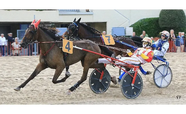 Ippica, Ippodromo Arcoveggio Bologna: Elton Wise vince il Due Torri, Bellamente e Godiva Doc promossi alla finale del Palio dei Proprietari