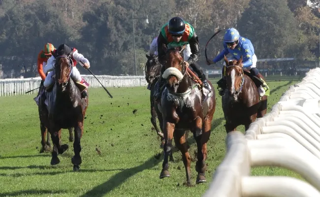 Ippica, sabato termina la 136^ stagione di galoppo all’Ippodromo Snai San Siro con una grande festa aperta alle famiglie e ai bambini tra corse, animazione e molto altro!