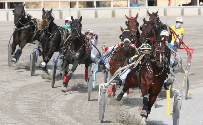 Ippica, Ippodromo Arcoveggio di Bologna: giovedì 5 dicembre con Tris-Quarté-Quinté, inizio ore 15