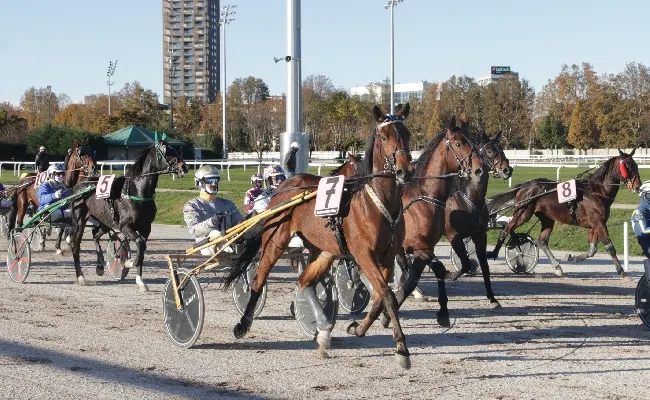 Sabato all'Ippodromo Snai San Siro la tradizionale giornata di trotto in onore del patrono di Milano Sant'Ambrogio, con sette prove a partire dalle ore 14.30