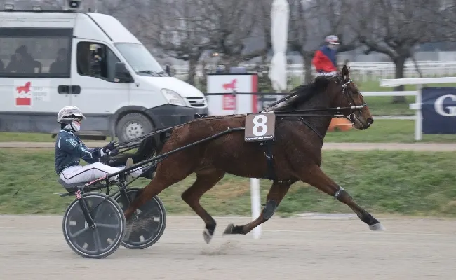 Ippica, all'Ippodromo Snai San Siro di Milano Glamour Queen festeggia bene il sabato di Sant'Ambrogio dominando il Premio Offen Lb