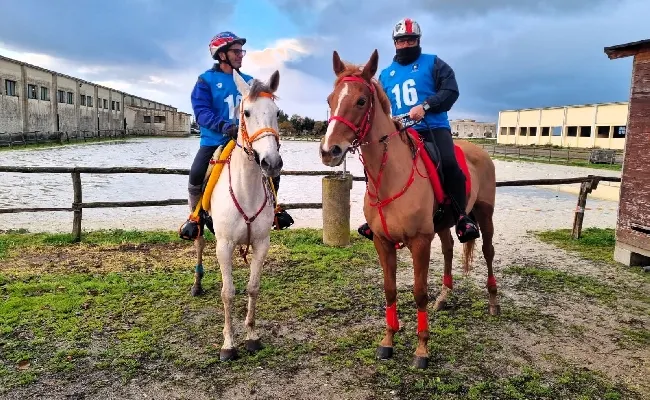Equitazione, Endurance: Ignazio Mallei si conferma campione regionale. Fabrizio Pintore vince la Coppa Sardegna