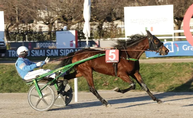 Ippica, all'Ippodromo Snai di San Siro sabato con al centro il Trofeo Obiettivo Casa che ha visto protagonista Dream Breed. Il 28 ultima giornata di trotto del 2024.