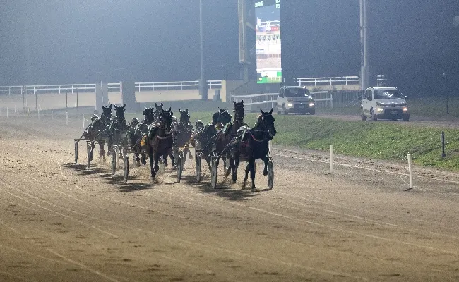 Ippica, dal 1° gennaio all’Ippodromo Snai San Siro inizia la nuova stagione di trotto