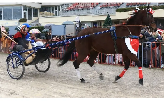 Ippica, Ippodromo Arcoveggio di Bologna: lunedì 6 gennaio il Gran Premio della Vittoria Isibetpro e la Grande Festa della Befana