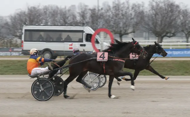 Ippica, all'Ippodromo Snai San Siro il sabato sotto la pioggia non ferma D J dei Veltri che vince sul filo di lana il Premio Illinois per i gentlemen con cavalli di proprietà