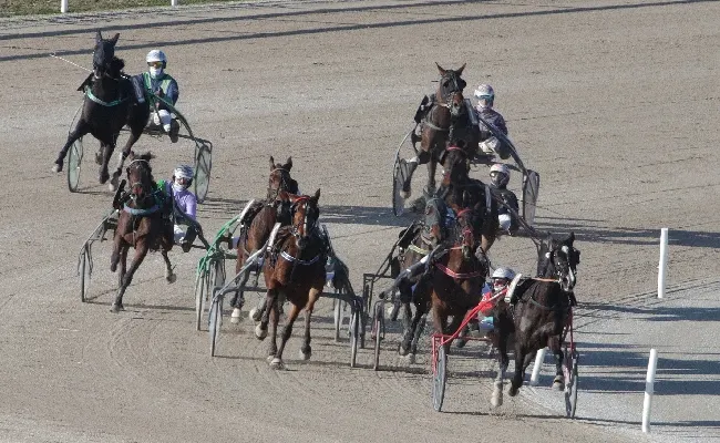 Ippica, Ippodromo Snai San Siro: domenica al via la 14^ giornata di Trotto in attesa del super evento del 23 febbraio con il Gp Encat