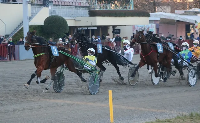 Ippica, Ippodromo di Bologna: giovedì 20 marzo un centrale senza figure di secondo piano