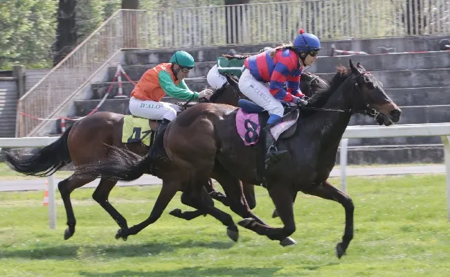 Ippica, in attesa del grande appuntamento di trotto del 25 aprile con il Gran Premio Ettore e Mario Barbetta, l’Ippodromo Snai San Siro ospita mercoledì l’11^ stagionale di galoppo a partire dalle ore 14