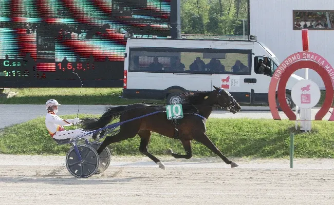 Ippica, all’Ippodromo Snai San Siro tutto il fascino del Gran Premio Ettore e Mario Barbetta in un venerdì di trotto aperto alle famiglie e ai bambini con tante attività di animazione