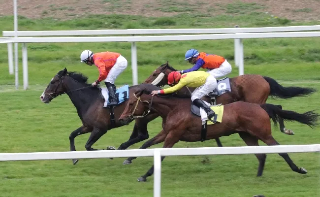 Ippica, all’ippodromo Snai San Siro di Milano ricco ed eterogeneo mercoledì di galoppo per la 16^ stagionale dalle ore 14:45. Otto prove tra cui la condizionata per il premio Ramonti