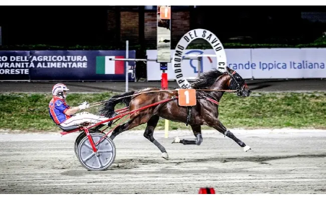 Ippica. Ippodromo Cesena Trotto: martedì 1° luglio in programma il Premio Animal Garden Cesena