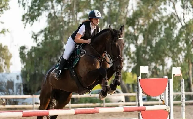 Equitazione, salto ostacoli: la Fise Sardegna programma l'attività di formazione del settore giovanile con gare (sabato e domenica Ala Birdi), stage e trasferte nella penisola
