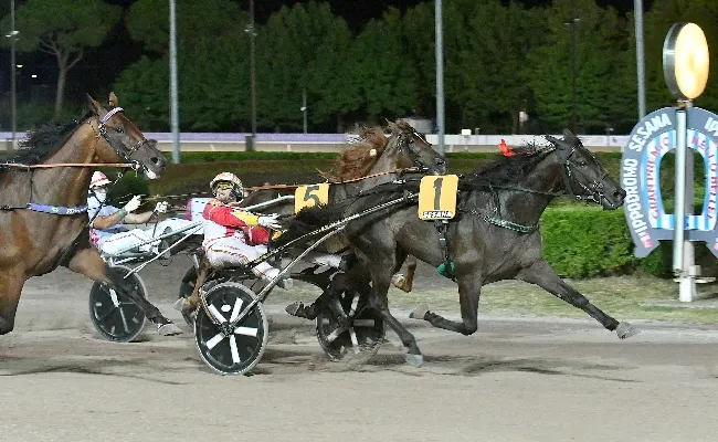 Ippica, all’Ippodromo Snai Sesana il primo ‘classico’ della stagione. Per il Gran Premio Nello Bellei lo vince Fortunadrago Font