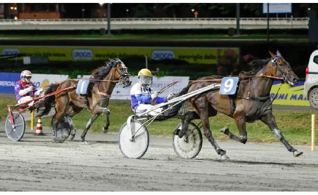 Ippodromo di Cesena: martedì 5 agosto, la quarta semifinale del Superfrustino promuove Di Stefano e Monti. TQQ per Cabasse e Amitrano