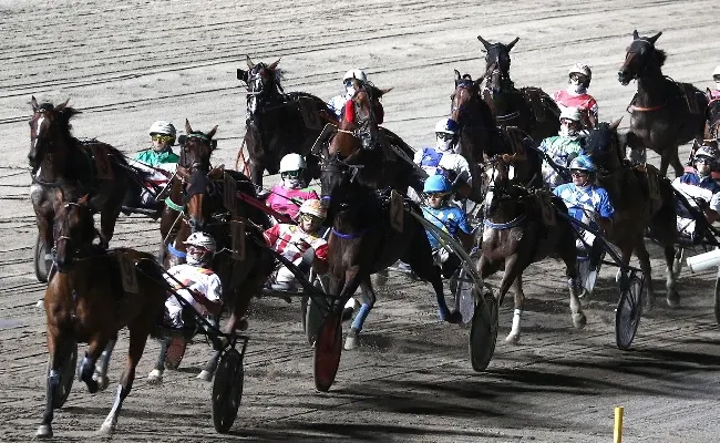 Ippica, Ippodromo di Cesena: resoconto delle corse di sabato 9 agosto 2025