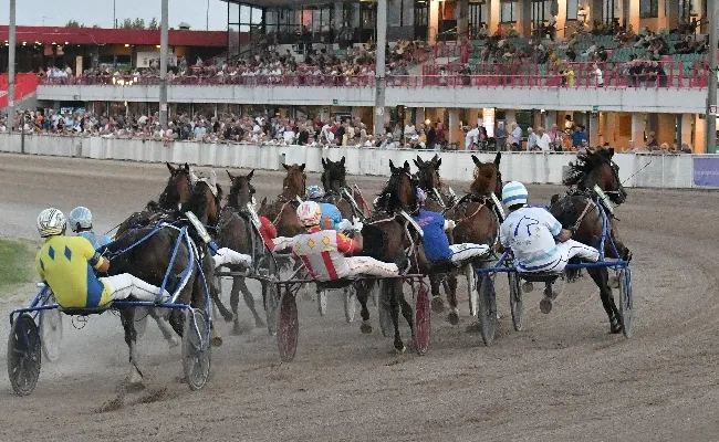 Ippica, sabato all'Ippodromo Snai Sesana riunione di trotto dedicata all'associazione "GiuliaSmile": sette corse dalle ore 20.40