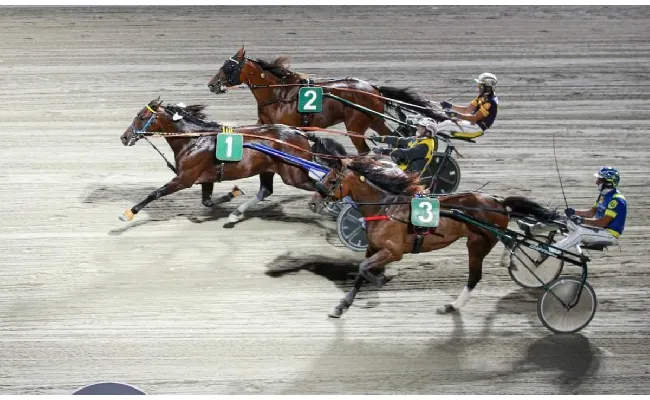 Ippodromo di Cesena: resoconto delle corse di venerdì 29 agosto 2025