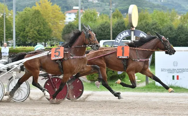 Ippica, il sabato dedicato all’Avis all’Ippodromo Snai Sesana vincono India Papa Bravo e Goggia Cam nel ricordo di Alessia Franchini