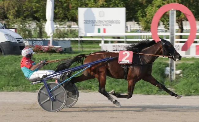 Ippica, venerdì all’Ippodromo Snai San Siro 33^ giornata di trotto a partire dalle ore 15:30. In pista sette corse dedicate all’Allevamento di No. Clou l’handicap sui 2000 metri per cavalli di 2 anni