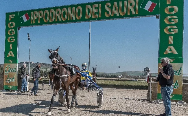 Ippica: Castelluccio dei Sauri, riapertura con tante novità e una TQQ da 21 cavalli