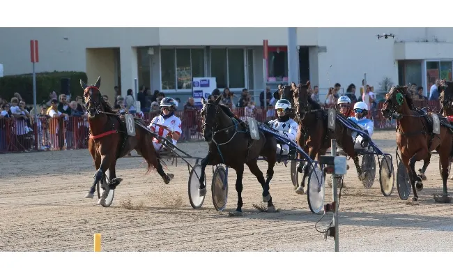 Ippica, Ippodromo di Bologna: giovedì 9 ottobre otto corse dalle 14:40