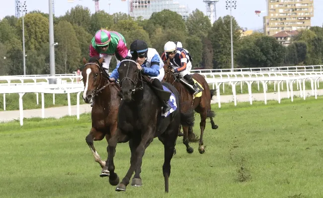 Ippica, all’Ippodromo Snai San Siro sabato con il Premio Monterosa ed altre sette corse, per una giornata di galoppo che fa da antipasto alla super domenica con il Premio Verziere, il Cumani, l’Eupili e l’Omenoni
