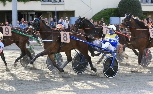 Ippica, Ippodromo Arcoveggio di Bologna: giovedì 16 ottobre quattro e cinque anni protagonisti di un clou qualitativo. In programma otto corse dalle 14:58