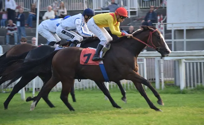 Ippica, domenica 19 all’Ippodromo Snai San Siro torna il Gran Premio del Jockey Club S.I.R.E.