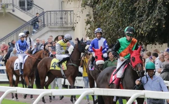 Ippica, mercoledì con una nuova giornata di galoppo all'Ippodromo Snai San Siro dopo la festa del Jockey Club. Sei corse a partire dalle ore 15.30