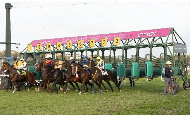 Ippica, il Premio Madonnina illumina il sabato di galoppo all'Ippodromo Snai San Siro. In pista dalle ore 14:15 con sei corse e a bordo pista animazione e intrattenimento per il pubblico