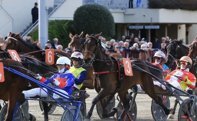 Ippica, Ippodromo di Bologna: giovedì 30, otto corse e la tris quarté quinté chiudono ottobre