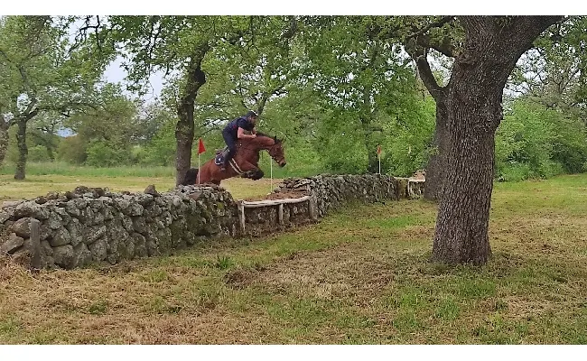 Equitazione: Dressage e Completo a Tanca Regia (Abbasanta) nel fine settimana