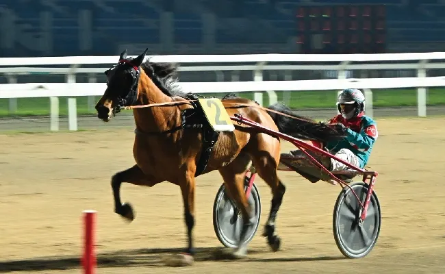 Ippica, nella domenica di trotto all'Ippodromo Snai San Siro Ingrid Am si conferma nella condizionata per i 2 anni
