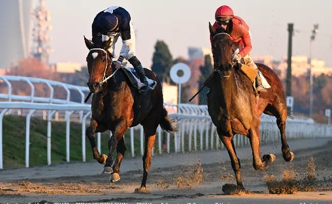 Ippica, sabato all'Ippodromo Snai San Siro la 56° stagionale di galoppo sulla pista in sabbia