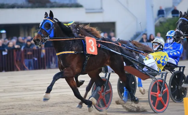 Ippica, Ippodromo di Bologna: il 6 gennaio prima "classica" dell'anno con il Gran Premio della Vittoria