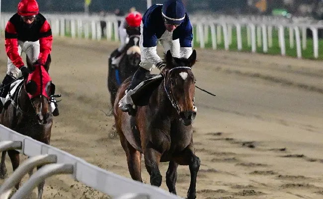 Ippica, Ippodromo Snai San Siro: venerdì di galoppo con due handicap limitati per cavalli anziani. Vincono Lethal Nigio e Ersilia