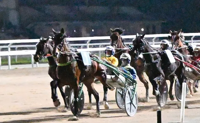 Ippica, Ippodromo Snai San Siro: nel giovedì di trotto sette prove tra cui il Premio Aleksandr Finn