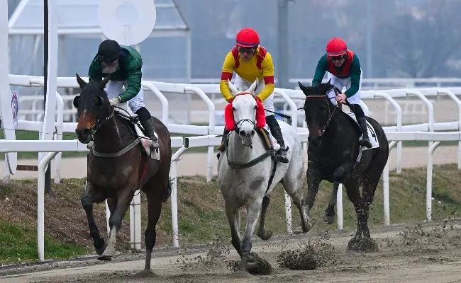 Ippica, Ippodromo Snai San Siro: venerdì di galoppo con sei prove dalle 14.15