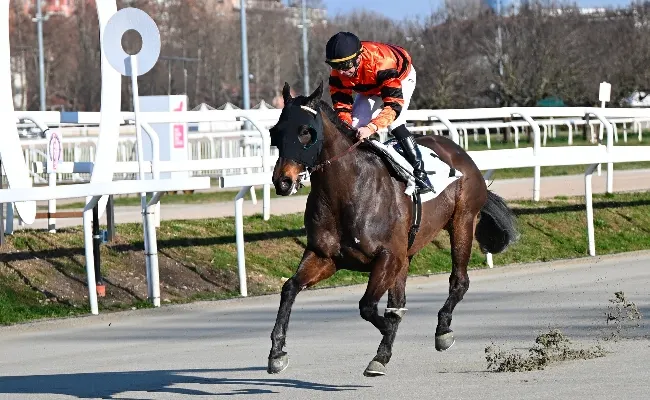 Ippica, Ippodromo Snai San Siro: nei due handicap di classe 4 del mercoledì vincono Lucid e Setteffe