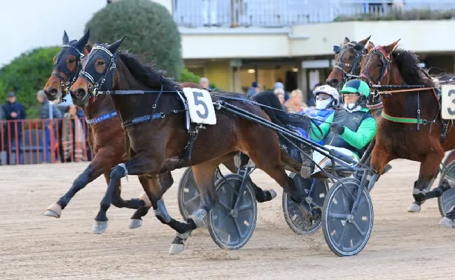 Ippica, Ippodromo di Bologna: domenica 15 febbraio tornano le corse all'Arcoveggio dalle 14:55