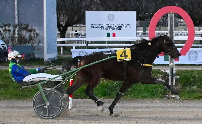 Ippica, Ippodromo Snai San Siro: domenica di trotto con il Gran Premio E.N.C.A.T.