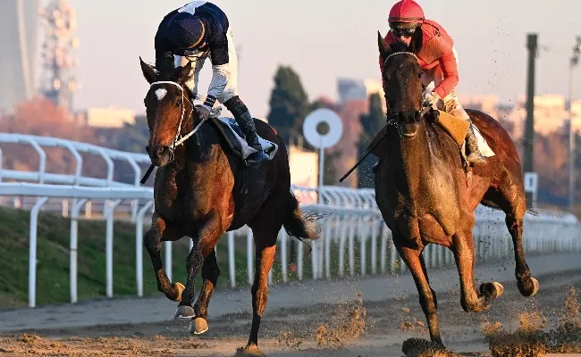 Ippica, mercoledì all’Ippodromo Snai San Siro ultima uscita di febbraio con le corse al galoppo