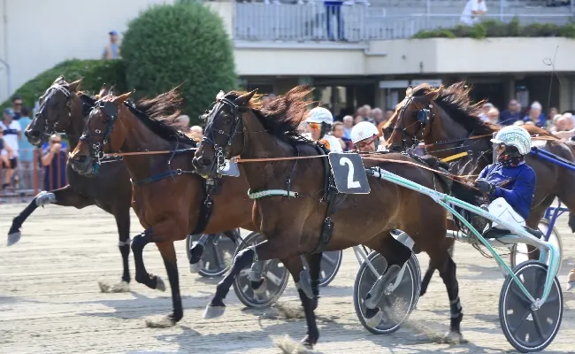 Ippica, Ippodromo di Bologna: giovedì 26 febbraio, otto corse a partire dalle 14:55. Clou sul miglio con dieci contendenti