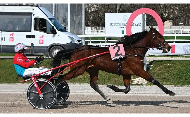 Ippica, Ippodromo Snai San Siro: nel sabato di trotto, Funky Roc vince il Premio Orlando Zamboni