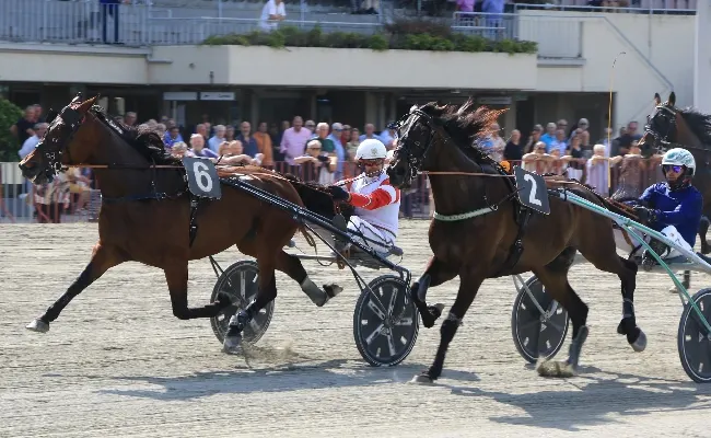 Ippica, Ippodromo Arcoveggio di Bologna: giovedì di trotto con otto corse, clou il Premio Filanda