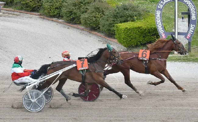 Ippica, Ippodromo Snai Sesana: domenica di trotto con lo spettacolo delle corse e l’animazione per i bambini