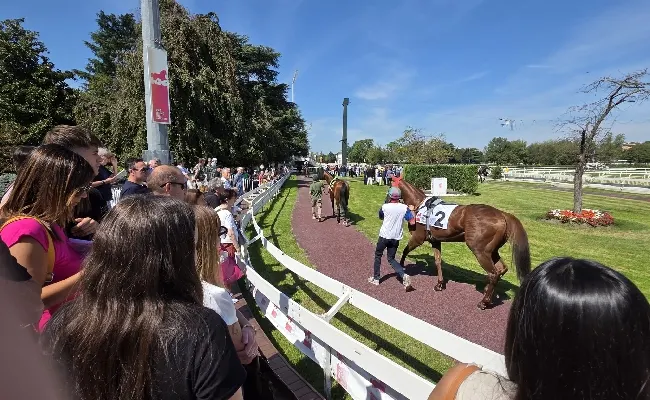 Ippica, il Premio Lampugnano e il Premio Poncia con protagonisti i cavalli di 2 anni nel mercoledì di galoppo all’Ippodromo Snai San Siro